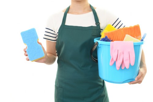 Professional stain removal for carpets and upholstery in Fulham