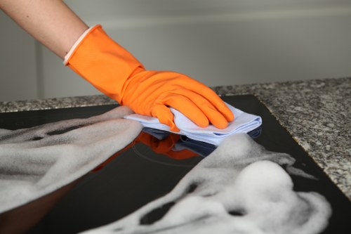 Professional carpet cleaning terms and conditions introduction