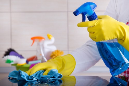Domestic cleaning service for a Fulham family home