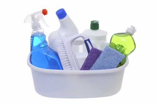 Professional pet stain odour removal for carpets in a Fulham home