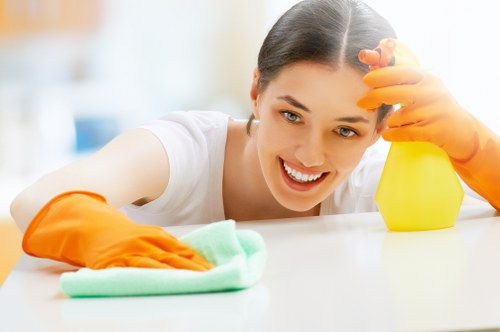 Professional window cleaning for a Fulham flat or apartment building