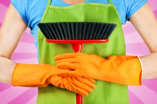 Mattress cleaning service for a Fulham flat or apartment