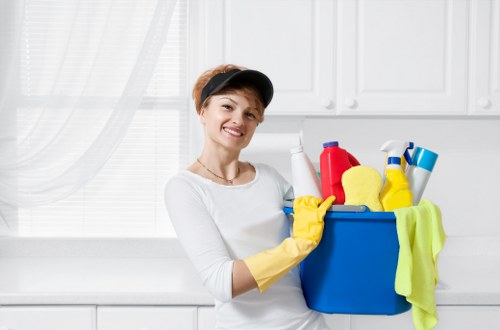 Professional carpet cleaning equipment ready for a Fulham home