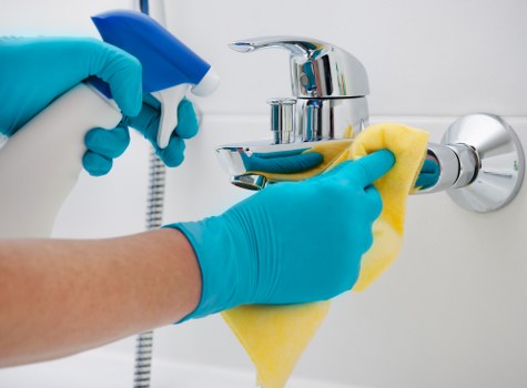 Deep carpet cleaning process in Fulham