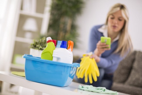 Professional carpet cleaning issue assessment