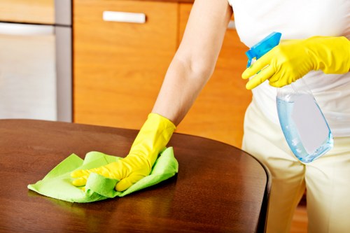 Cleaner working on residential windows in Fulham