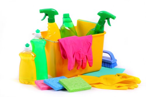 Professional domestic cleaning in Fulham kitchen and living space